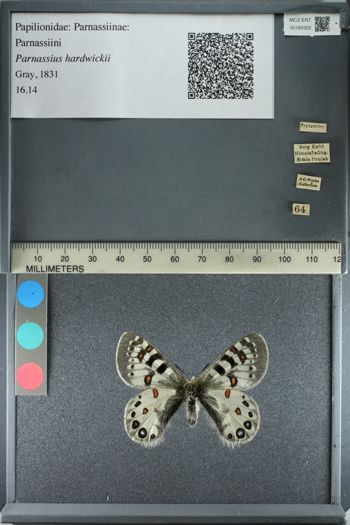 Media type: image;   Entomology 180302